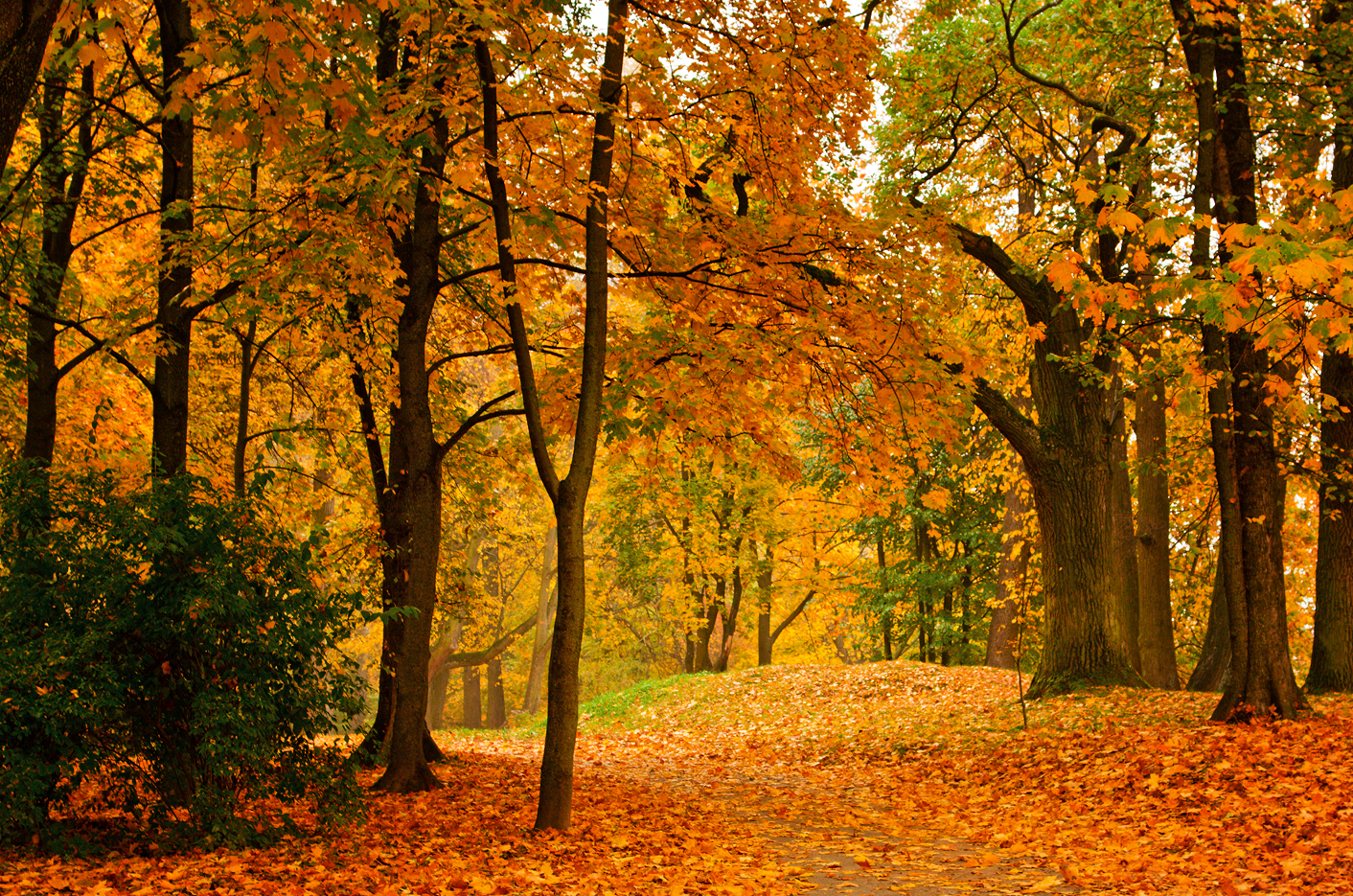 1757642875965051.png 微信图片_20250912093141.png