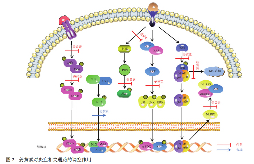 1758005112762968.png 微信图片_2025-09-16_144229_664.png