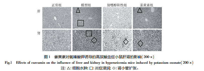1758005129233442.png 微信图片_2025-09-16_144233_404.png