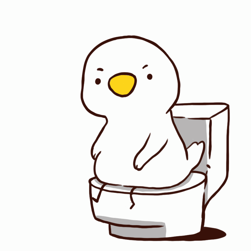 1767172417123291.gif 12_极光看图.gif