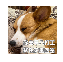 1767948348924303.png image.png