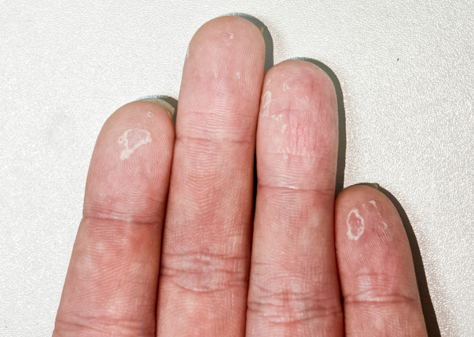 1769571860578540.png image.png