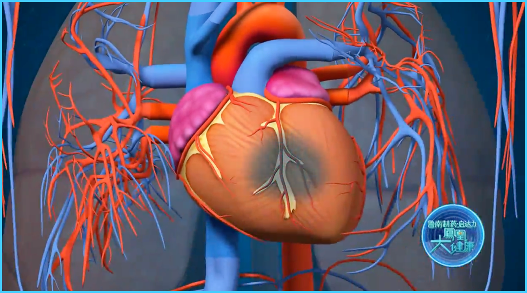 1770023342683781.png 微信图片_2026-02-02_170757_433.png