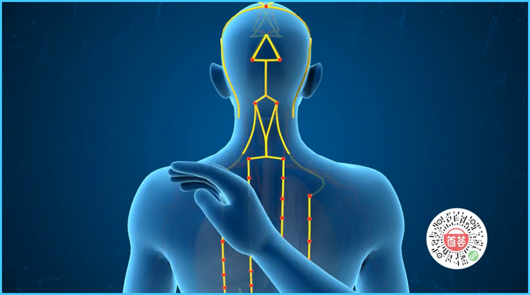 1770198035186560.png 微信图片_2026-02-04_173750_743.png