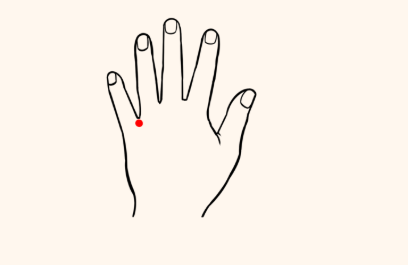 1770369648113003.png image.png