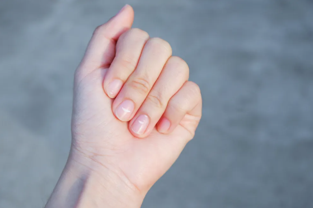 1770879575429698.png ScreenShot_2026-02-12_145536_606.png