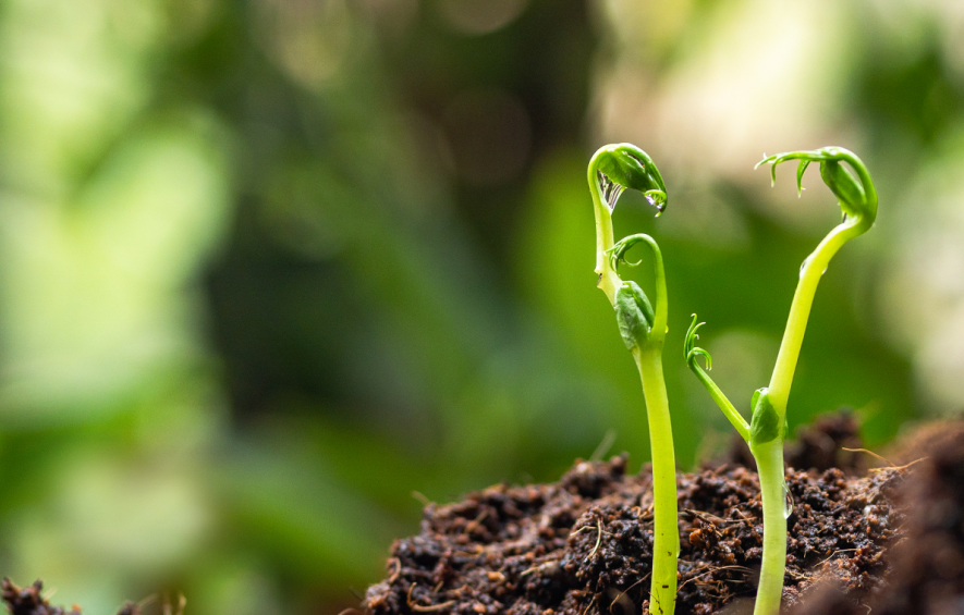 1771920399632189.png image.png