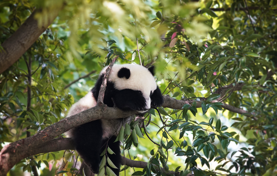 1771920461643939.png image.png