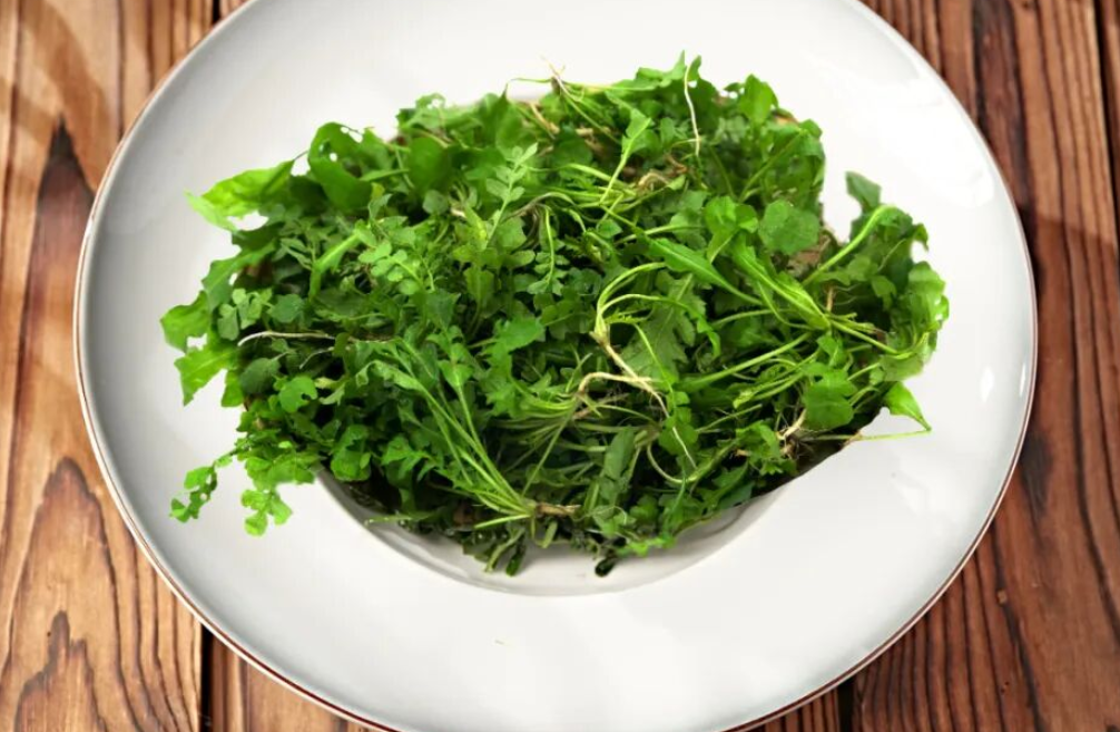 1772009508201165.png image.png