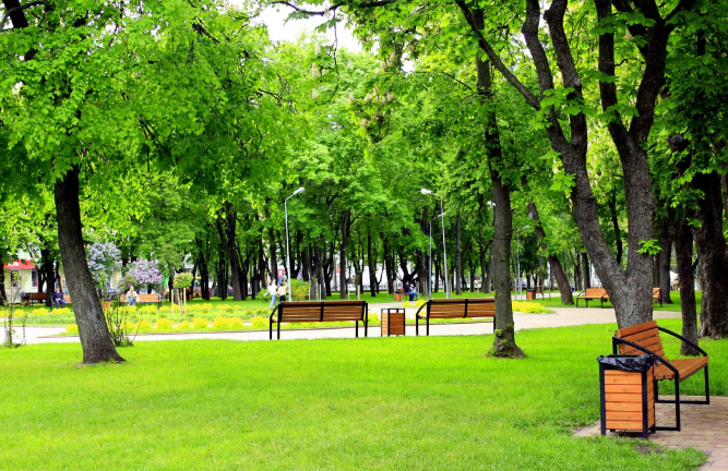 1772788142544794.png image.png