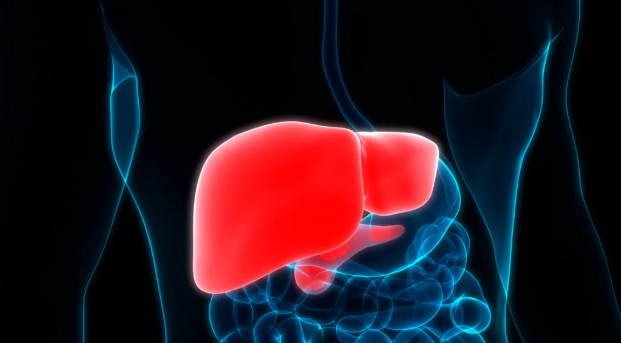 1772789588781630.png image.png