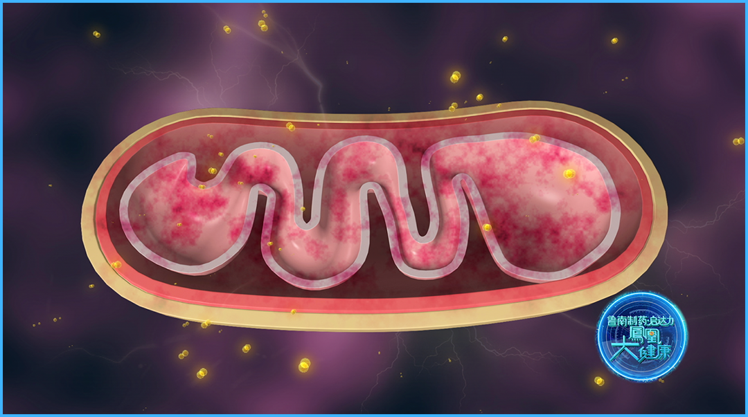 1773027484281195.png 微信图片_2026-03-04_162350_656.png