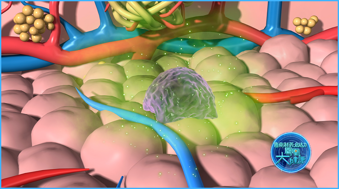 1773027547304202.png 微信图片_2026-03-04_162355_776.png