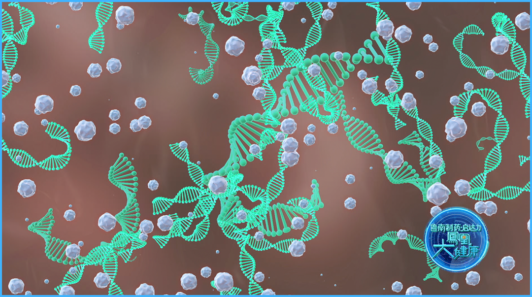 1773027724211764.png 微信图片_2026-03-09_114157_337.png