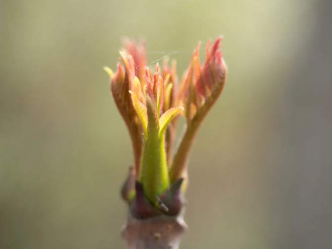 1773211942127622.png image.png