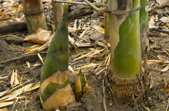 1773212175242662.png image.png