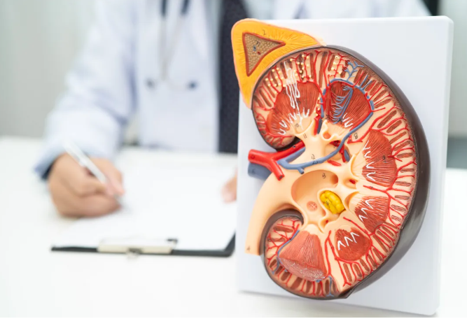 1773215047375260.png image.png