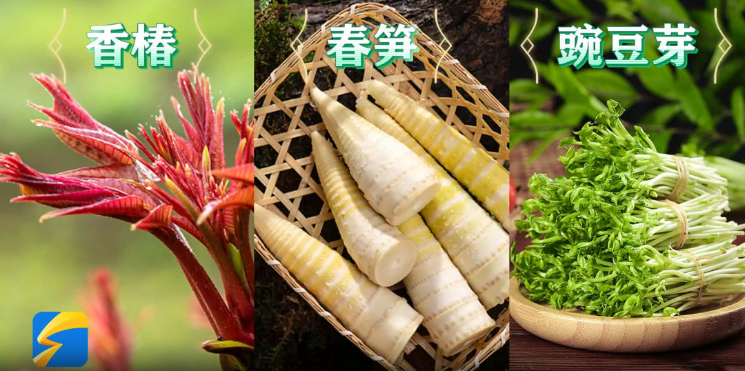 1773967543790747.png cb8f426bf4c3a41d7653669a4f713d4b.png