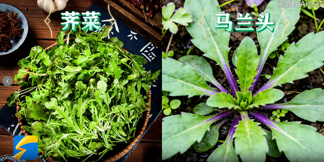 1773967656285609.png 3c29a6b9ff7c0b5ddc04e00d347c34a0.png