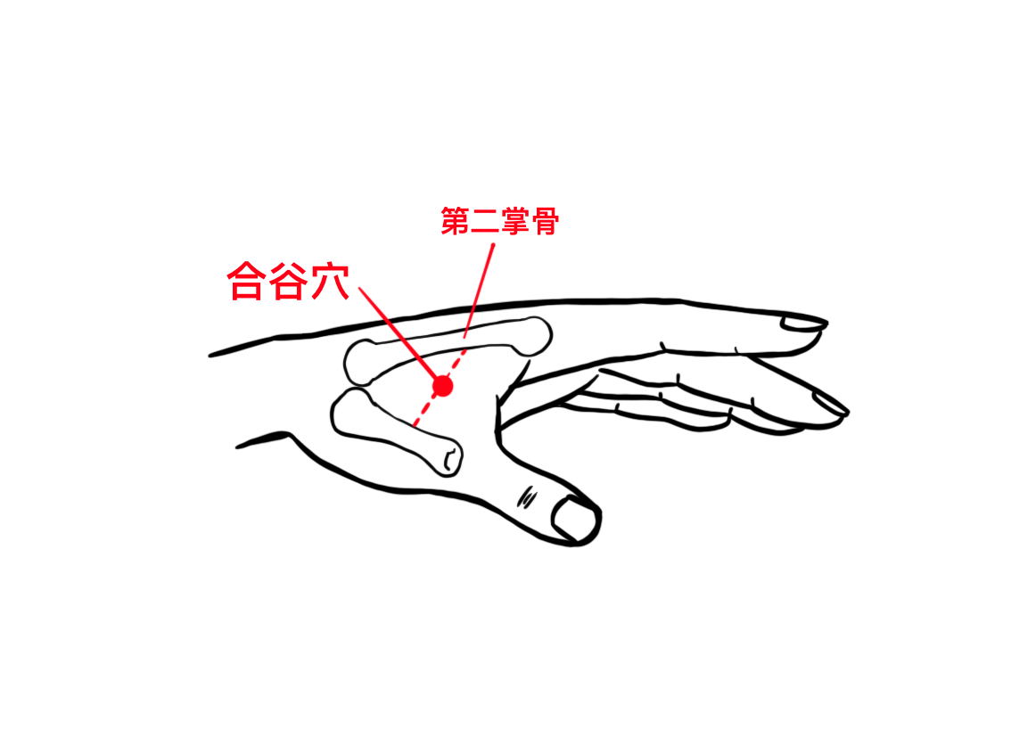 合谷穴.png